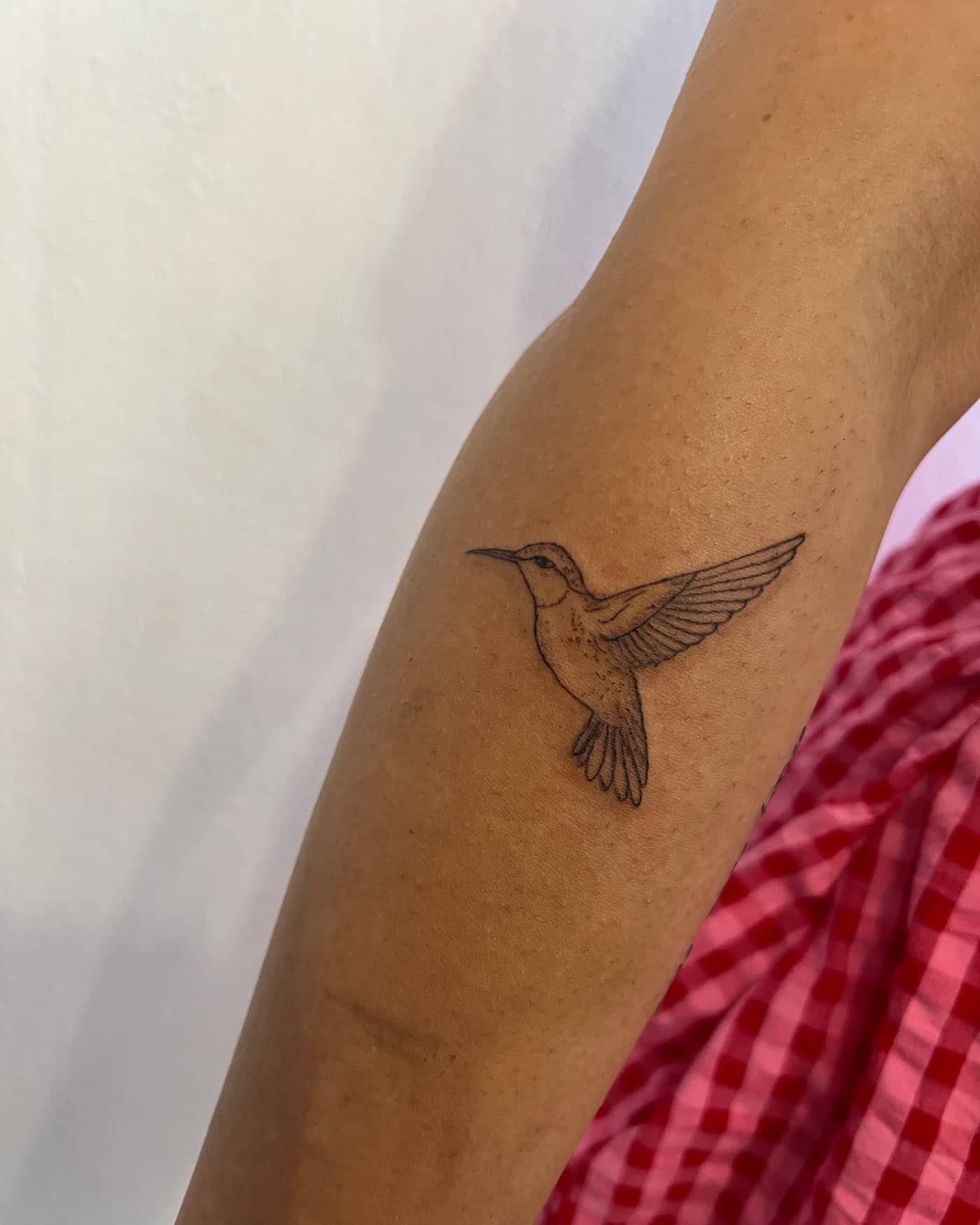 Fine line hummingbird tattoo by Imogen Nia in Amesbury near Salisbury