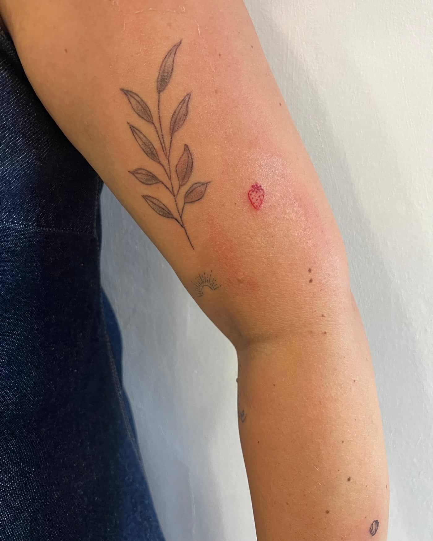 Fine line botanical stem and small red strawberry tattoo on the arm