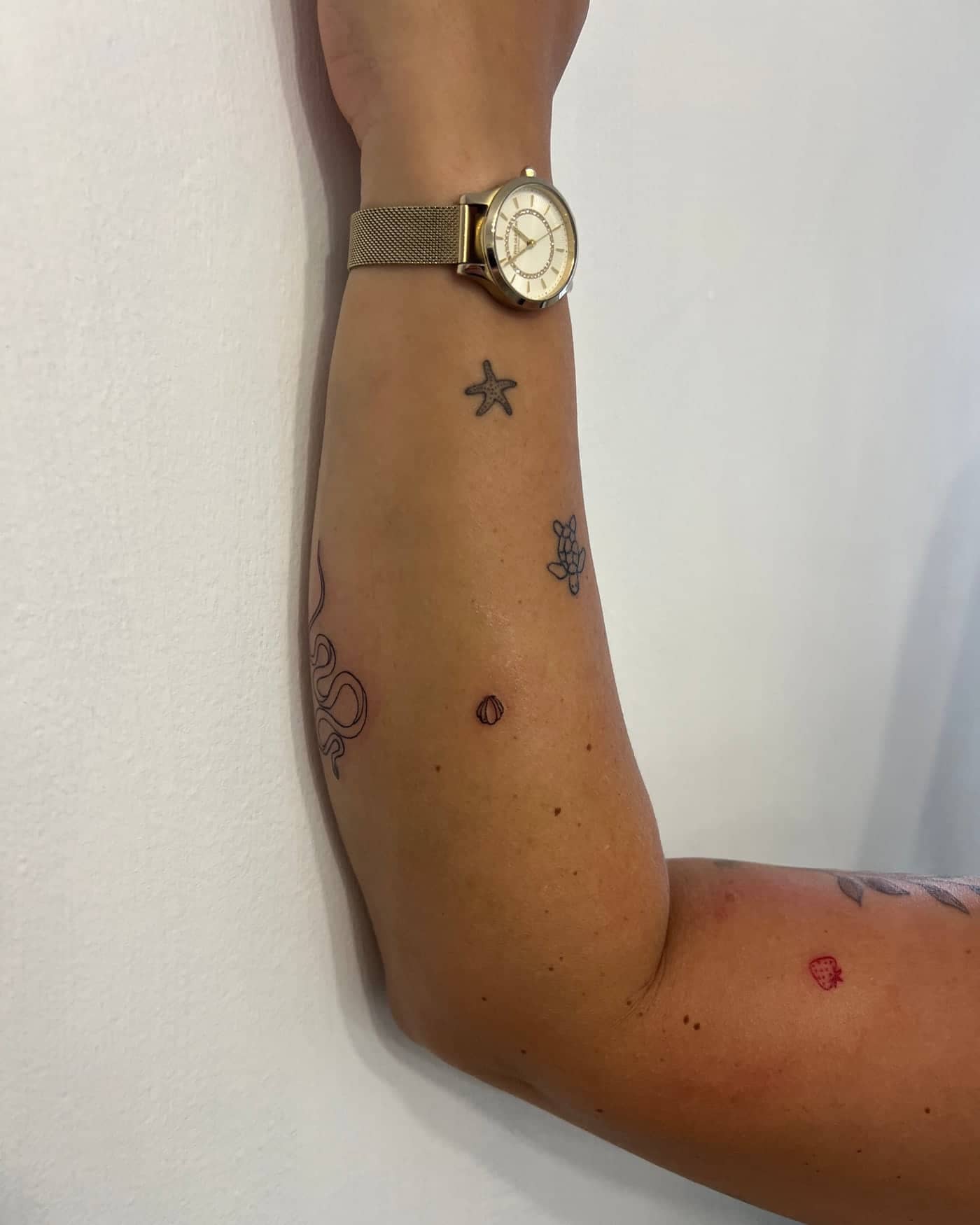 Collection of small fine line tattoos on the arm