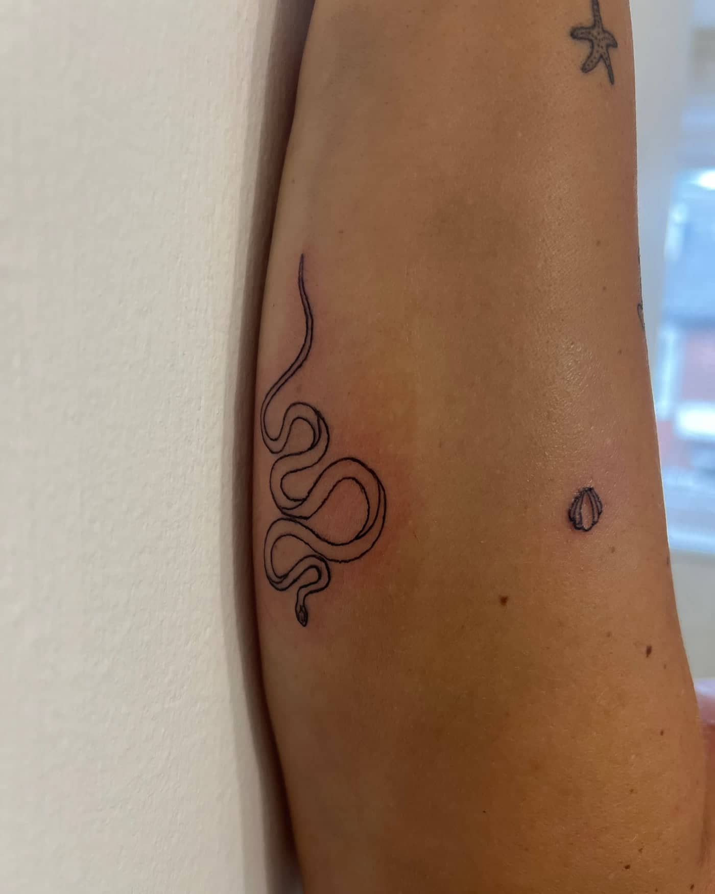 Fine line snake tattoo on the arm